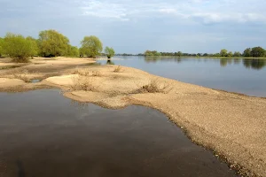 UNESCO-Biosphärenreservat Flusslandschaft Elbe-Brandenburg image