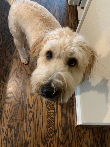 Pet Store «Earthwise Pet - Southlake», reviews and photos, 100 W Southlake Blvd #150, Southlake, TX 76092, USA