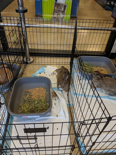 Pet Supply Store «PetSmart», reviews and photos, 1225 Industrial Rd, San Carlos, CA 94070, USA