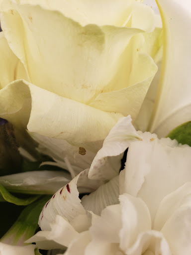 Florist «HAPPY FLOWERS», reviews and photos, 20709 US-27, Lake Wales, FL 33853, USA