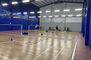 RM Sports - Badminton & Table Tennis Academy image