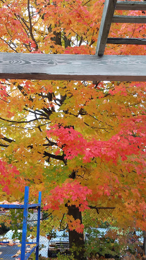 Garden Center «Delahunty Nurseries & Florist», reviews and photos, 41 Range Rd, Windham, NH 03087, USA