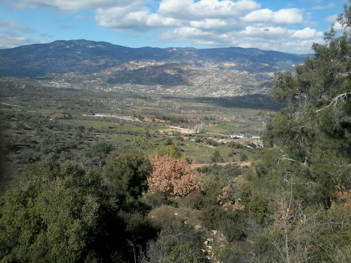 Zeytinköy İlköğretim Okulu