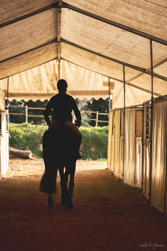 Dem Area Equestrian De Monnières à Monnières, Loire-Atlantique
