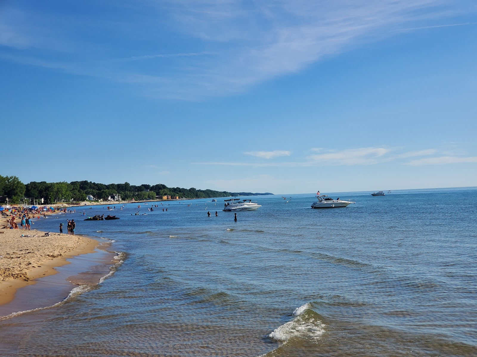 Lions Park Beach'in fotoğrafı vahşi alan