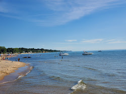 Lions Park Beach'in fotoğrafı vahşi alan