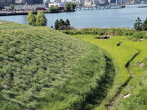 Park «Gantry Plaza State Park», reviews and photos, 4-09 47th Rd, Long Island City, NY 10007, USA