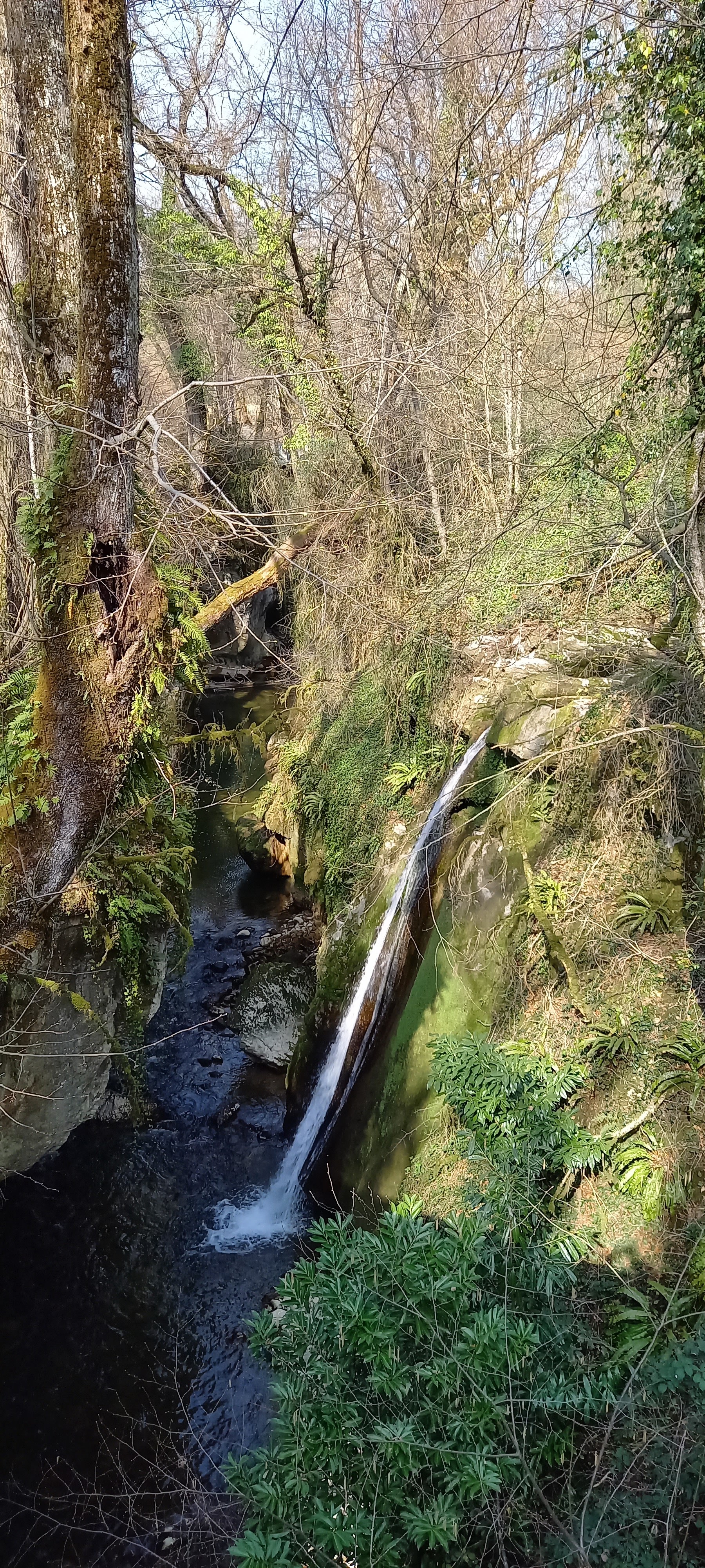 Photo n° 3 de l'avis de Frédérick.O fait le 27/03/2022 à 16:08