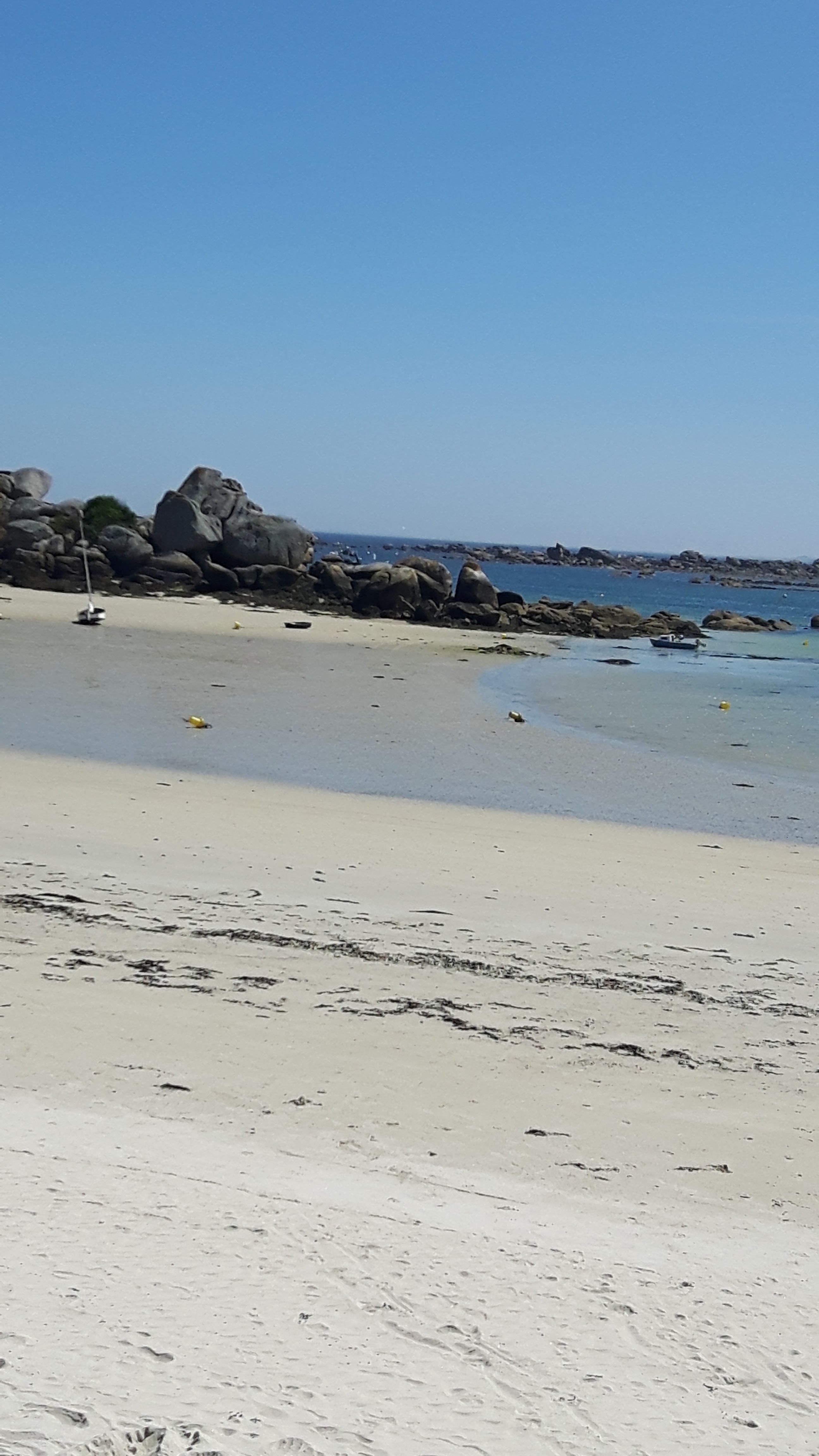 Photo n° 1 de l'avis de Mc. fait le 24/06/2018 à 07:47