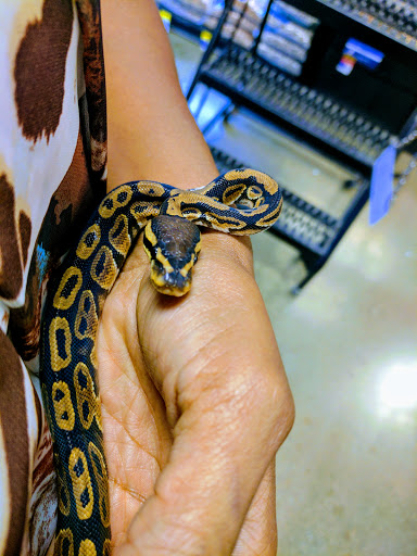 Pet Supply Store «PetSmart», reviews and photos, 2389 Taylor Park Dr, Reynoldsburg, OH 43068, USA