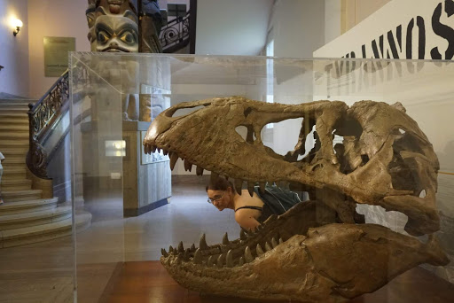 History Museum «Newseum», reviews and photos, 555 Pennsylvania Ave NW, Washington, DC 20001, USA