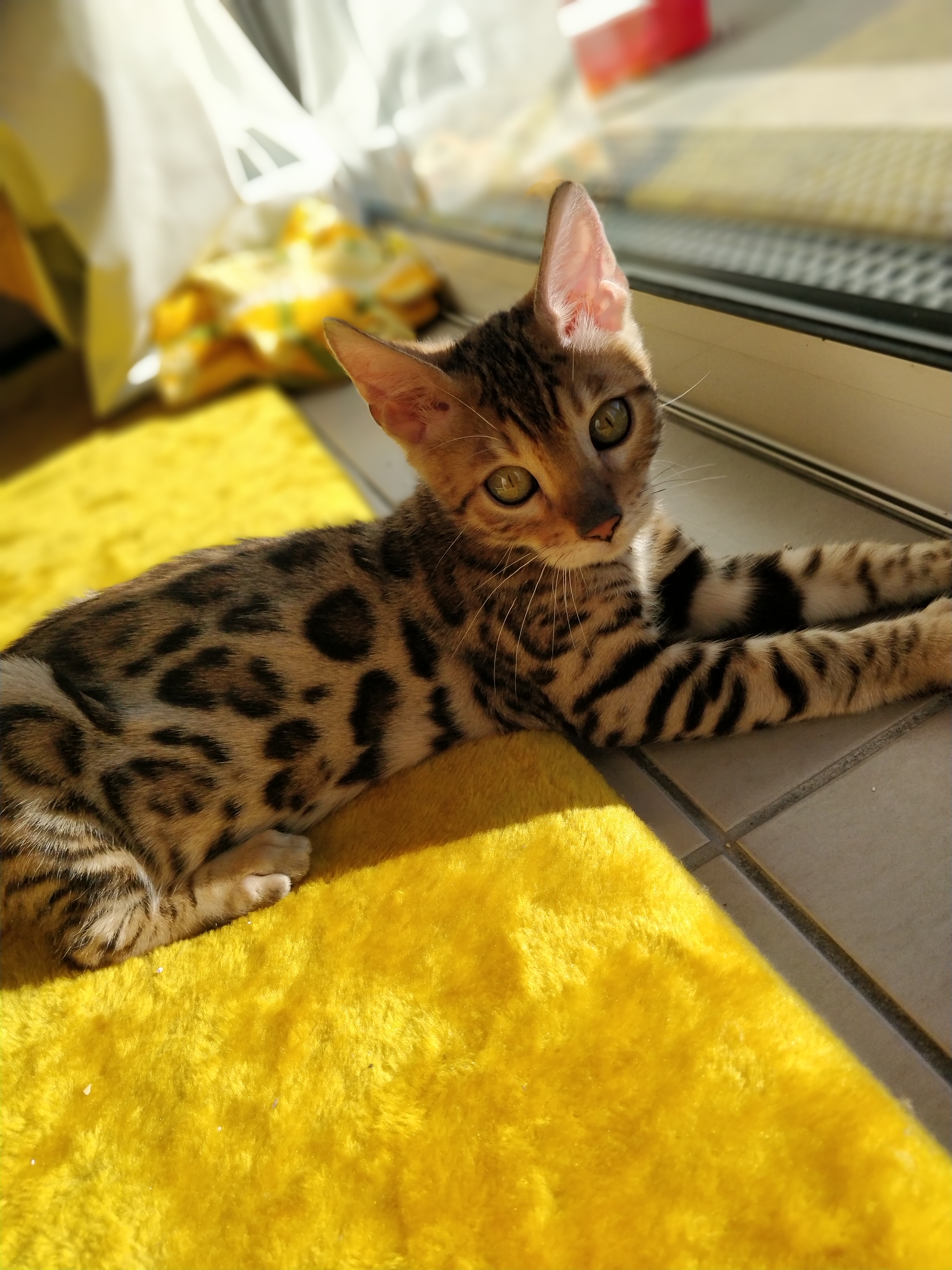 Photo n° 1 de l'avis de DeGuN. fait le 18/04/2019 à 13:15