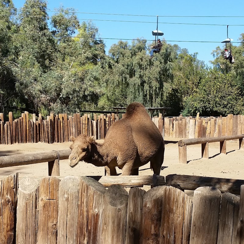 Wildlife World Zoo, Aquarium & Safari Park