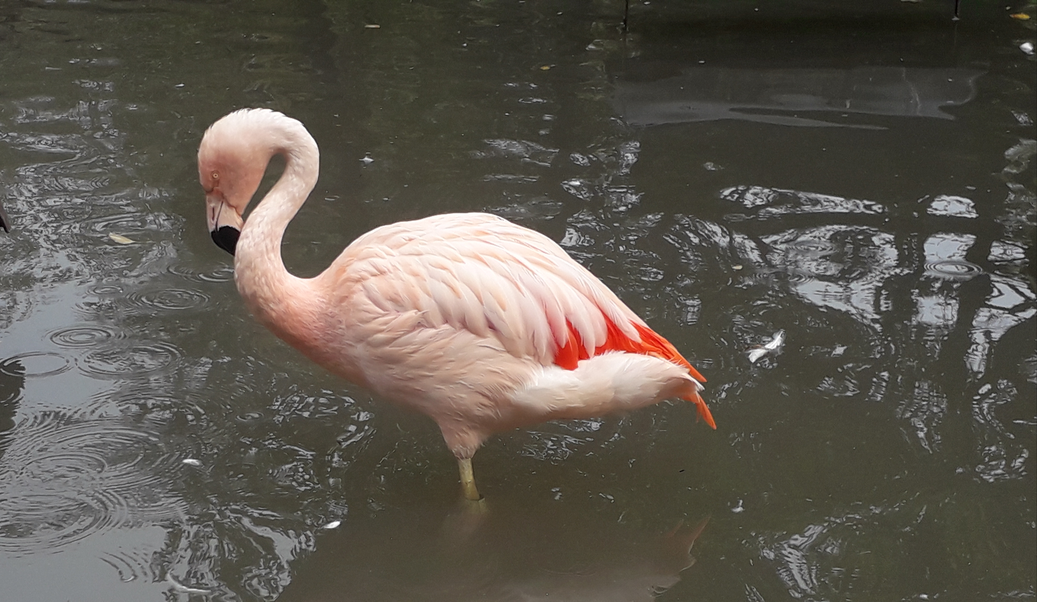 Photo n° 12 de l'avis de lilou.i fait le 19/09/2020 à 16:48