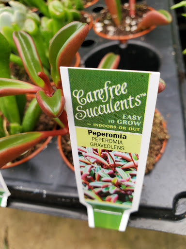 Hardware Store «Proctor Ace Hardware», reviews and photos, 5723 University Blvd W, Jacksonville, FL 32216, USA