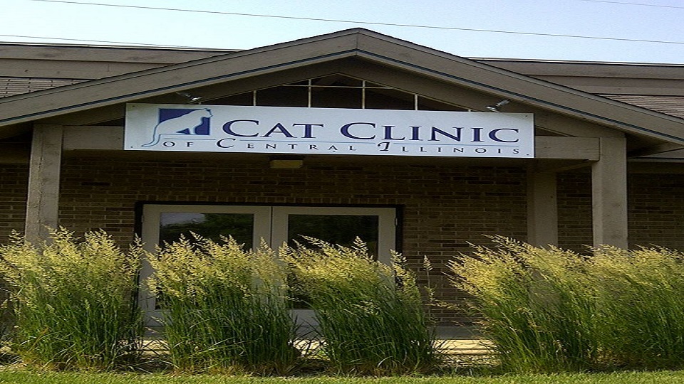 Cat Clinic of Central Illinois
