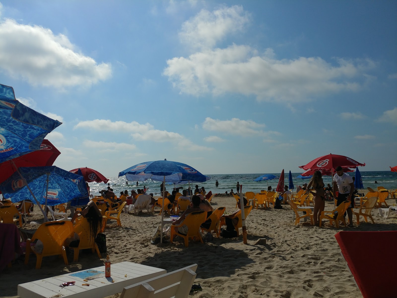 Foto de Tel Gerrit beach - bom local amigável para animais de estimação para férias
