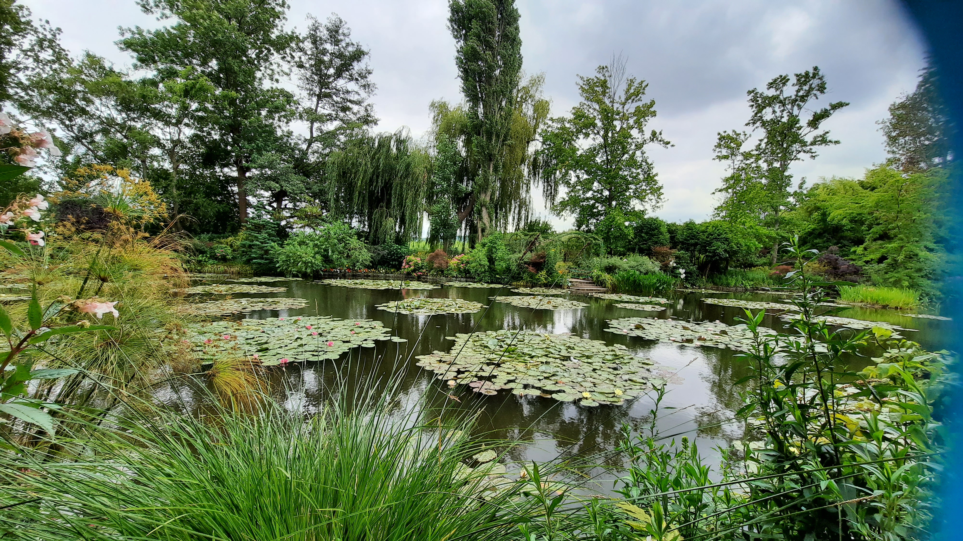 Photo n° 16 de l'avis de Louve.e fait le 22/07/2020 à 08:42