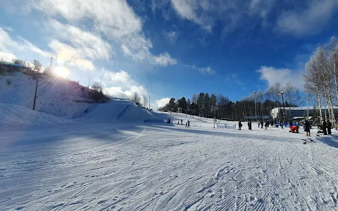Vedbobacken skidor image