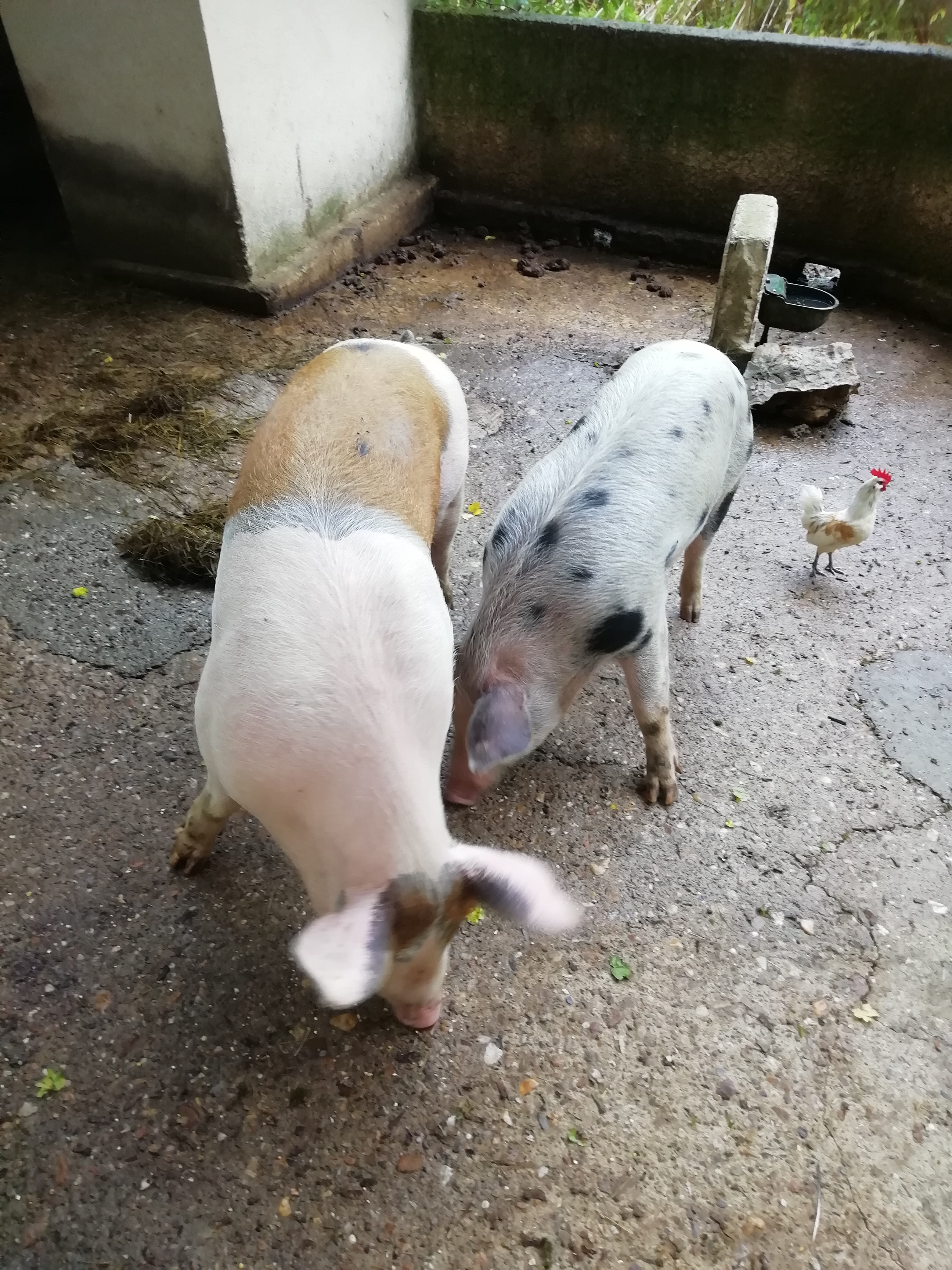 Photo n° 2 de l'avis de Laure.a fait le 17/10/2019 à 21:16