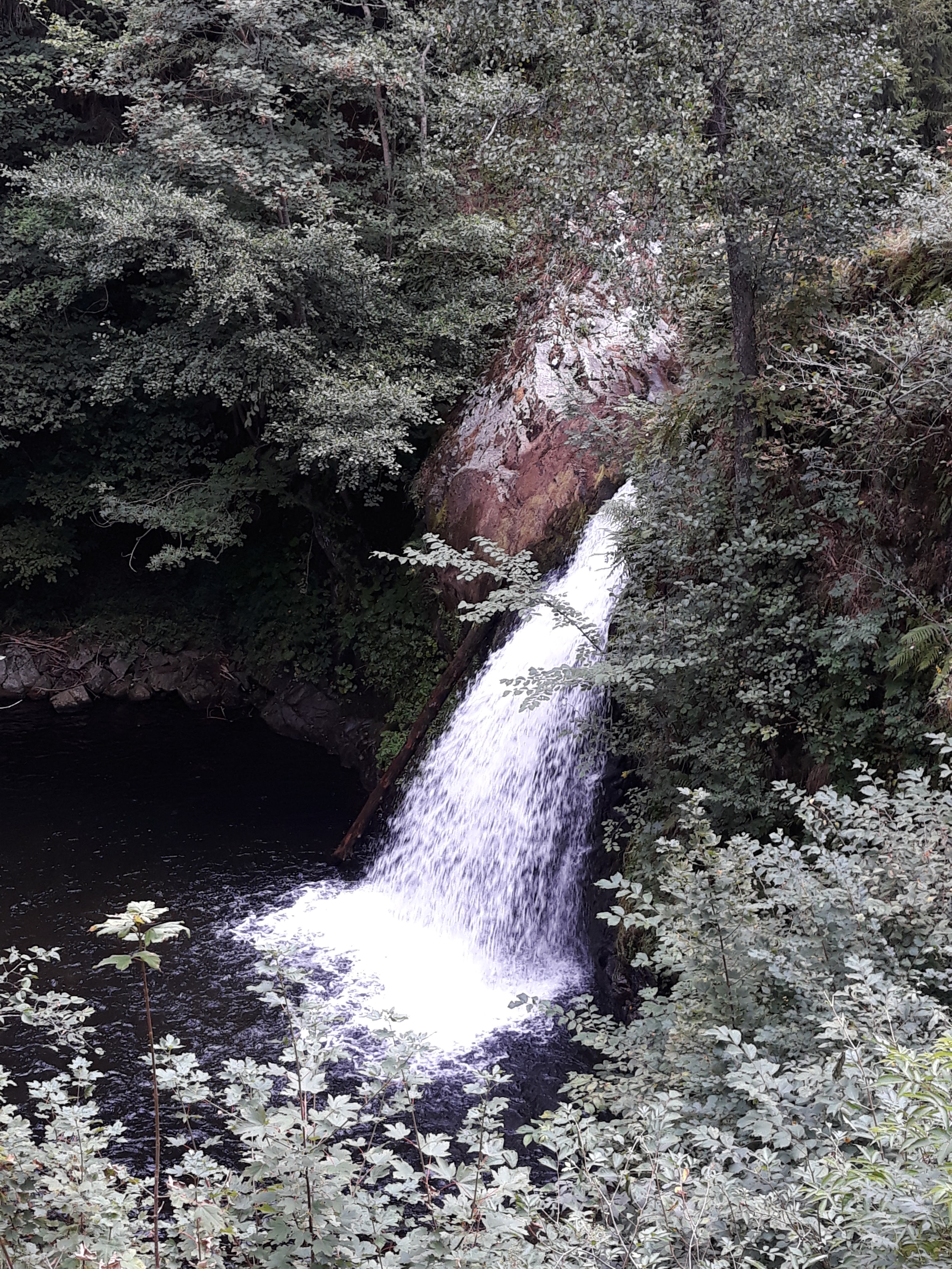 Photo n° 1 de l'avis de Stephanie.e fait le 18/08/2018 à 12:07