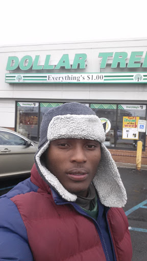 Dollar Store «Dollar Tree», reviews and photos, 10830 Warren Ave, Dearborn, MI 48126, USA