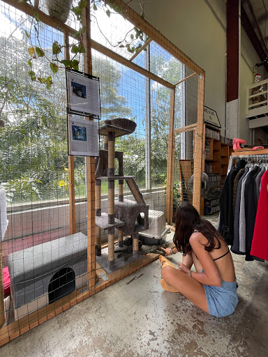 Thrift Store «Kauai Humane Society: Blooming Tails Resale Store», reviews and photos