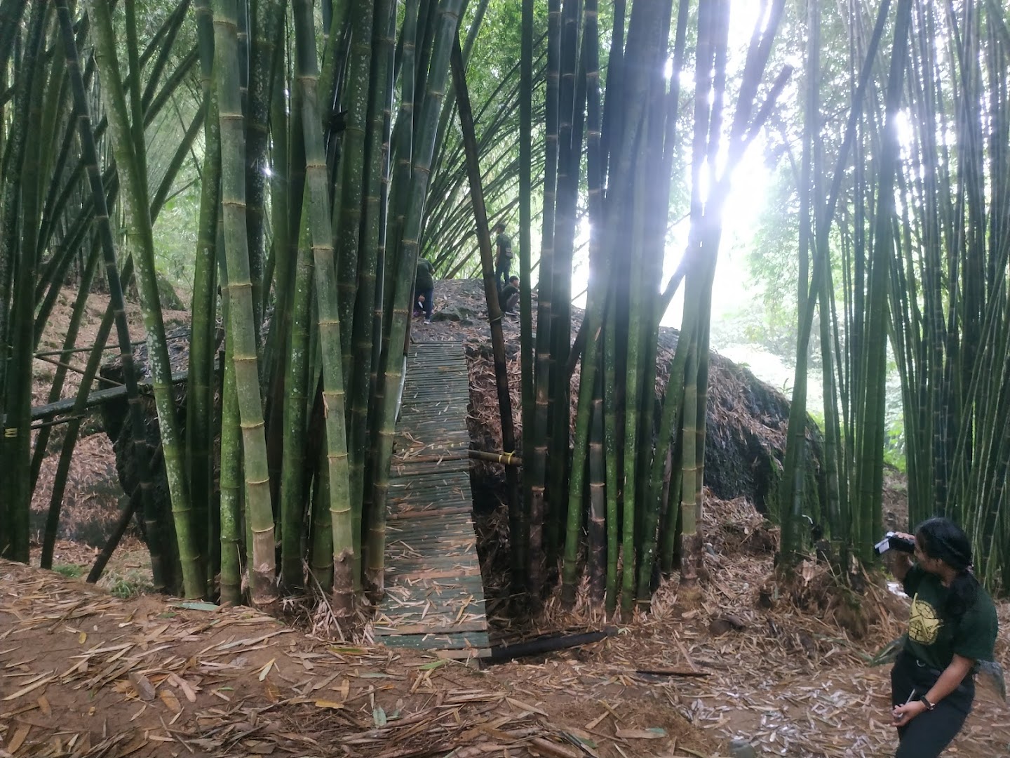 Objek Wisata Hutan Bambu To' Kumila': Harga Tiket, Foto, Lokasi, Fasilitas dan Spot
