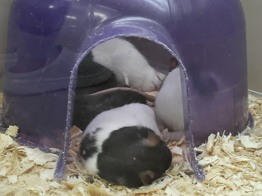 Pet Supply Store «Pet Expo Distributors», reviews and photos, 1800 Adams St, Mankato, MN 56001, USA