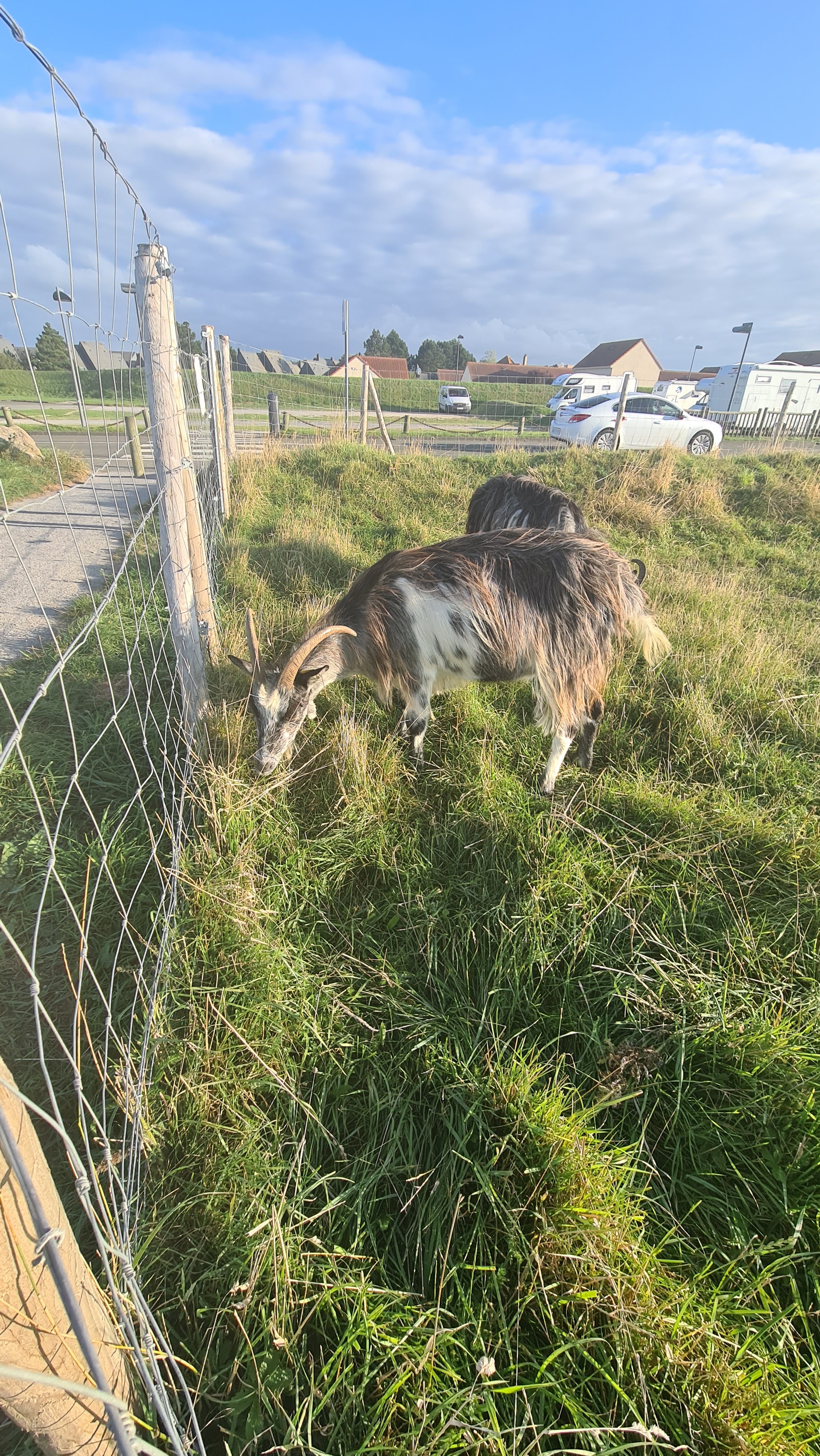 Photo n° 6 de l'avis de Stéphane.a fait le 29/08/2021 à 20:56