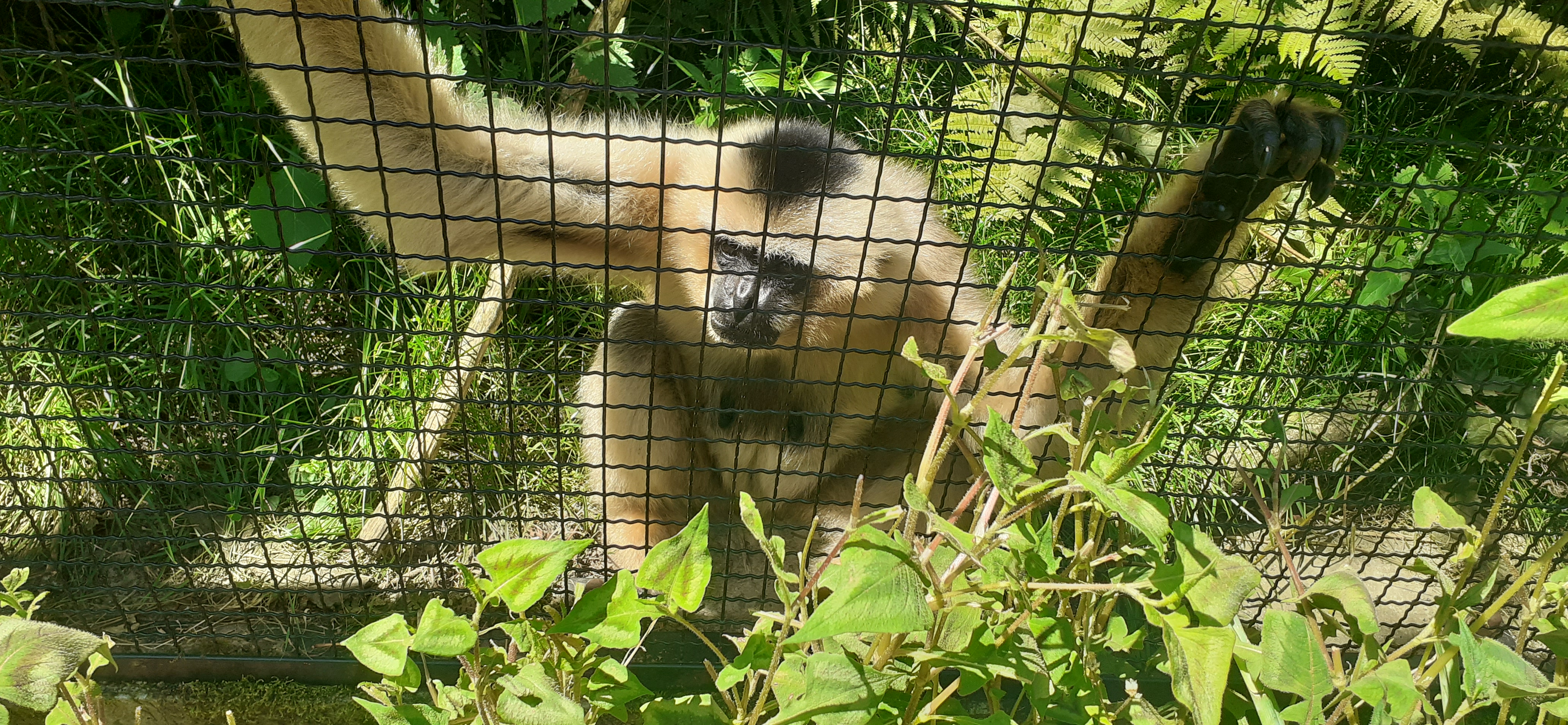 Photo n° 7 de l'avis de Guillaume.u fait le 20/07/2022 à 17:50