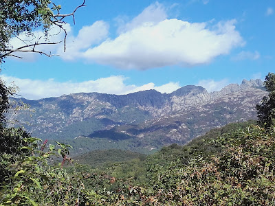 Fiera di a castagna à Bocognano