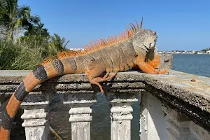 Santuario de la Iguana image