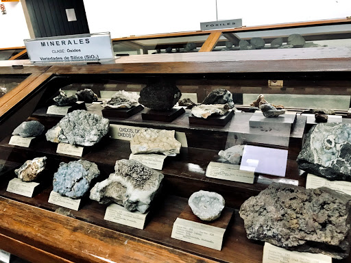 Museo de Geología y Mineralogía 