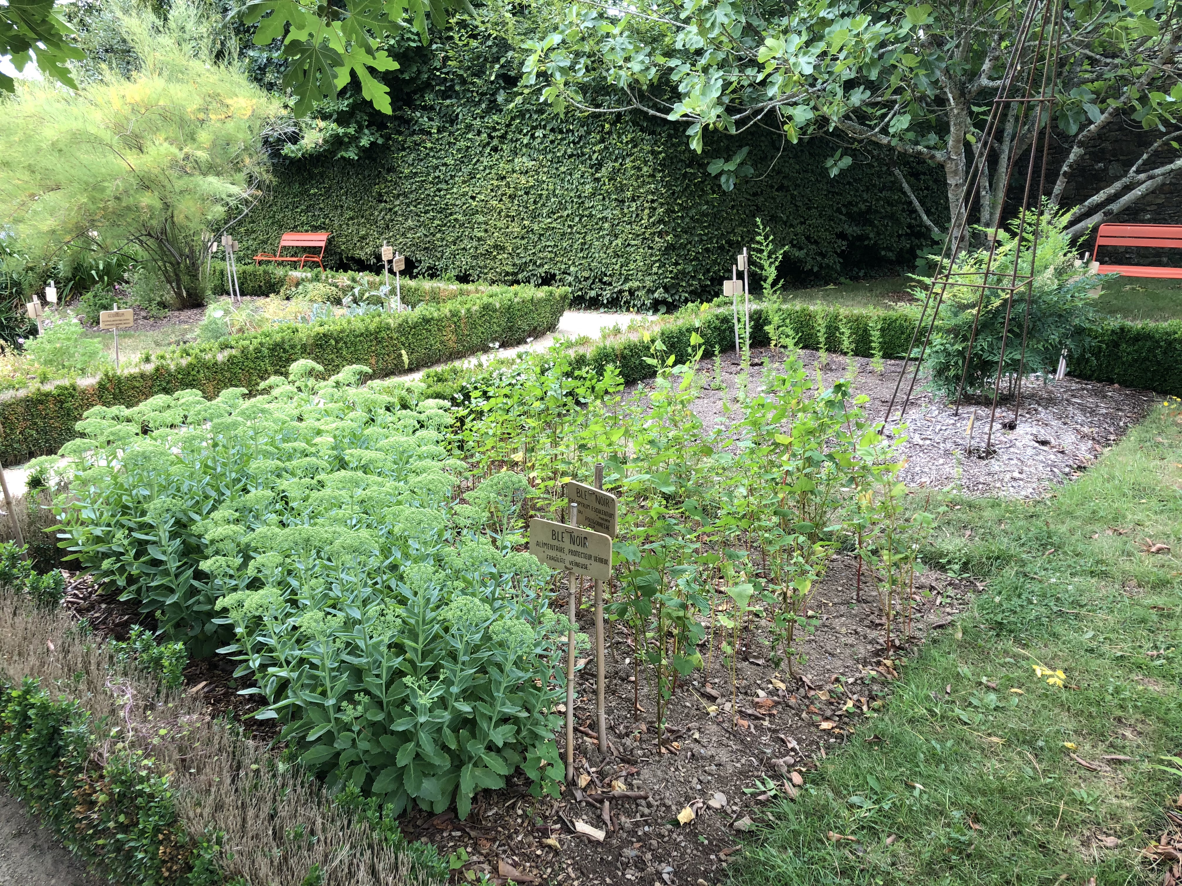 Photo n° 1 de l'avis de Alan.u fait le 28/07/2018 à 18:25