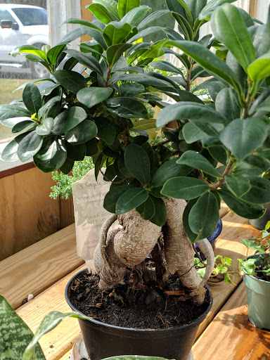 Florist «Richards Flower Shop», reviews and photos, 1312 N Mantua St, Kent, OH 44240, USA