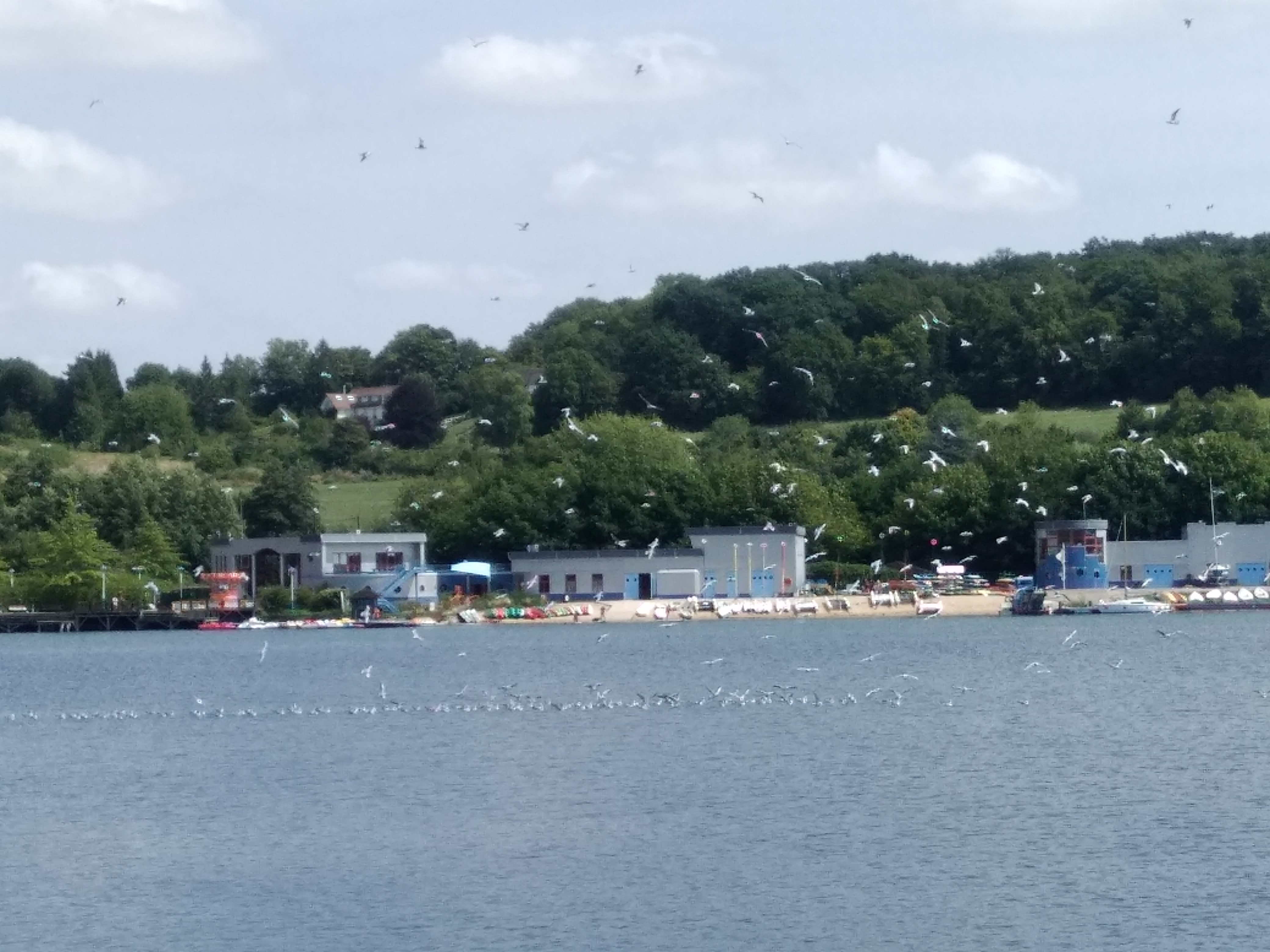Photo n° 2 de l'avis de Marc.i fait le 16/08/2018 à 13:11