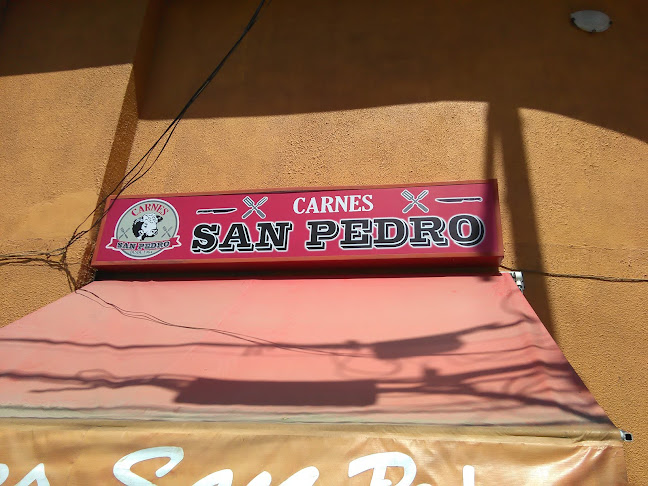Opiniones de Carnes San Pedro en Las Cabras - Carnicería