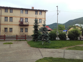 Centrul Şcolar de Educaţie Incluzivă "Sf. Andrei"