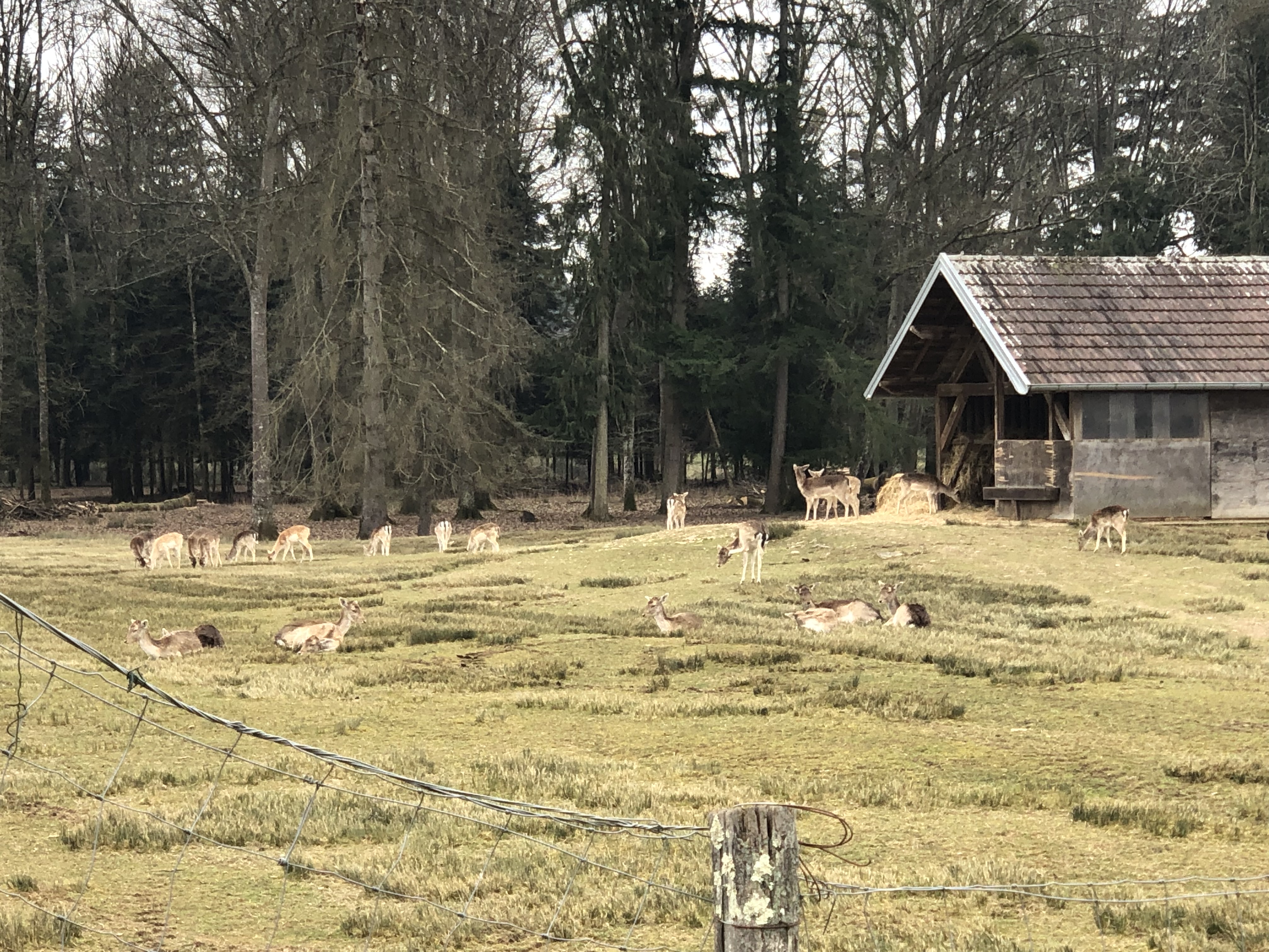 Photo n° 19 de l'avis de Emmanuelle.o fait le 13/03/2022 à 16:28