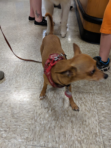 Pet Supply Store «PetSmart», reviews and photos, 3500 S Glenstone Ave, Springfield, MO 65804, USA