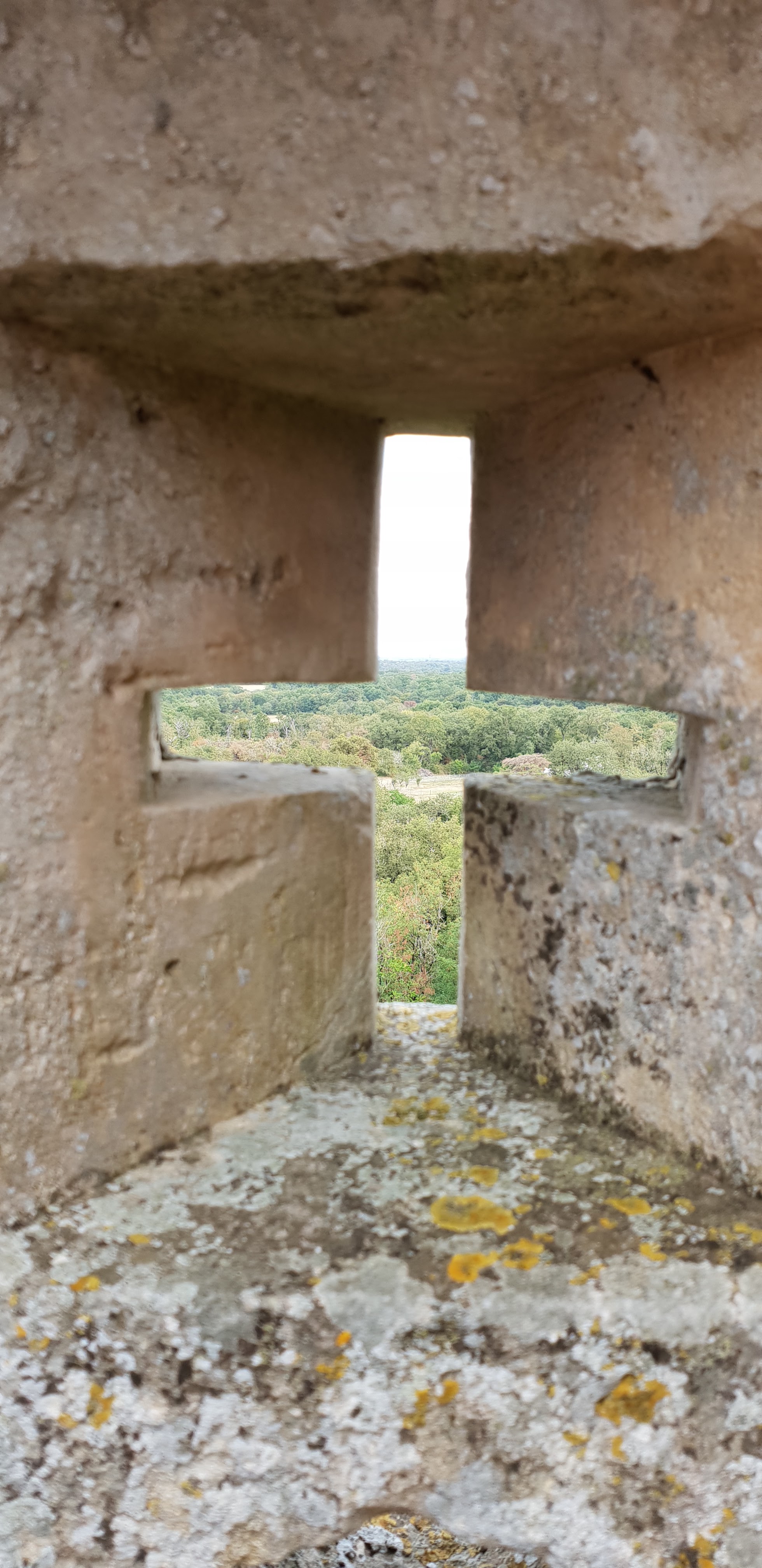 Photo n° 24 de l'avis de O. fait le 18/08/2018 à 19:03