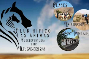 Club hipico las Animas image