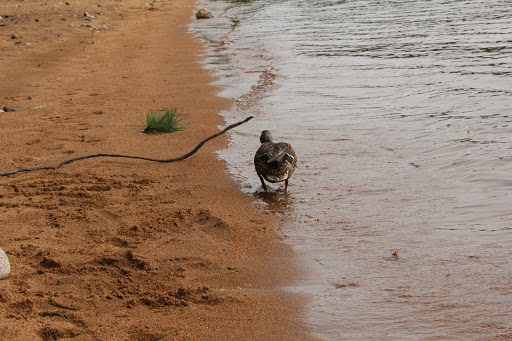 Lake «Sebago Lake», reviews and photos