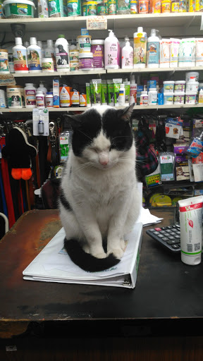 Pet Supply Store «Pet/Dog Delight», reviews and photos, 756 3rd Ave, Brooklyn, NY 11232, USA