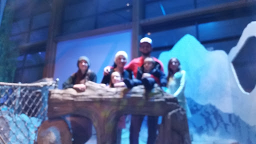 Zoo «Zoomazium», reviews and photos, 601 N 59th St, Seattle, WA 98103, USA