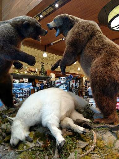 Outdoor Sports Store «Field & Stream», reviews and photos, 2075 Interchange Rd, Erie, PA 16509, USA