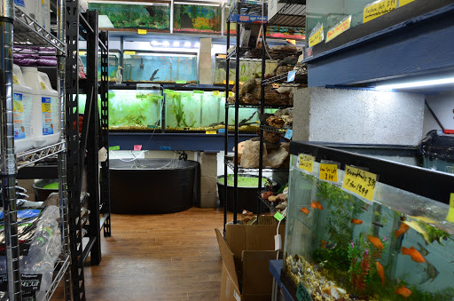 Tropical Fish Store «Age of Aquariums», reviews and photos, 118 N Cedar Ave, Cookeville, TN 38501, USA