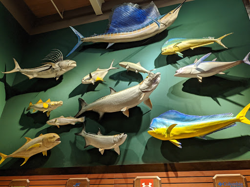 Sporting Goods Store «Bass Pro Shops», reviews and photos, 5160 Cherry Ave, San Jose, CA 95118, USA