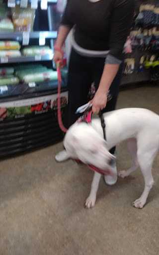 Pet Supply Store «Petco Animal Supplies», reviews and photos, 61-23 190th St, Fresh Meadows, NY 11365, USA